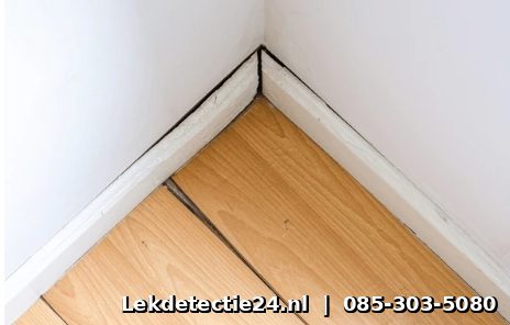Schimmelvorming op vloer bij plint door vochtlekkage