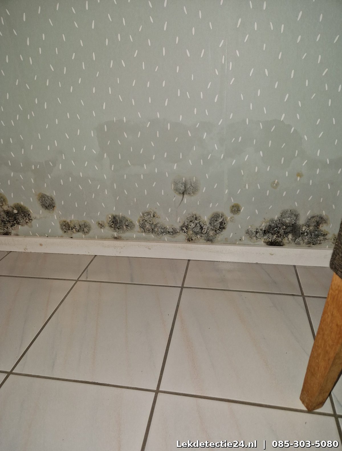 Ernstige schimmelvorming aan muur door vochtinfiltratie